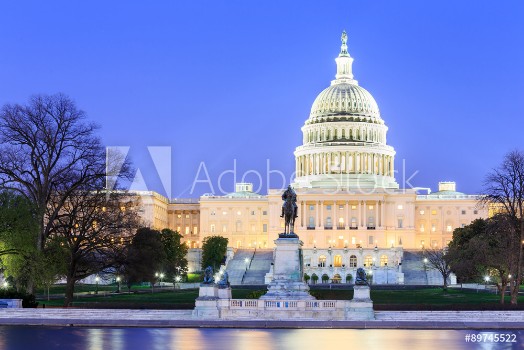 Picture of The United States Capitol building in Washington DC
